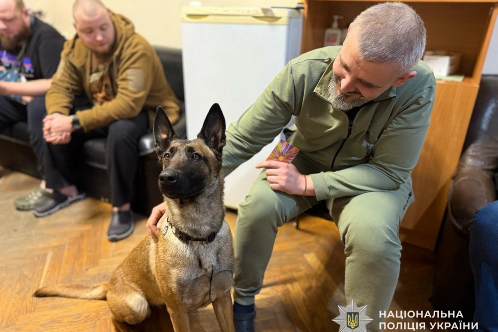 На Дніпропетровщині службовий собака допомагає пораненим бійцям (ФОТО)