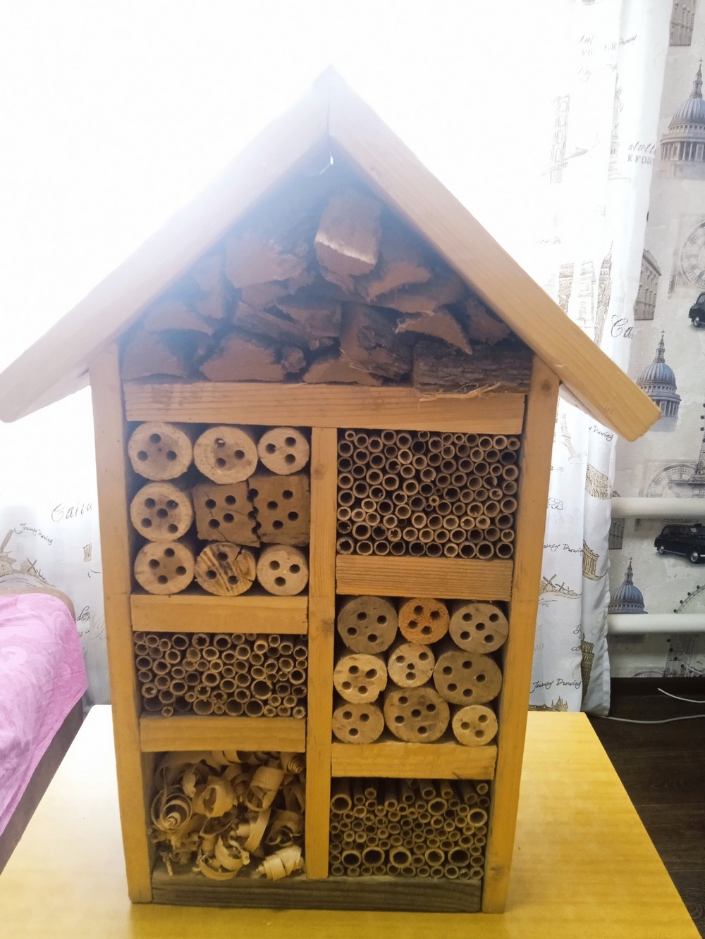 Антон Ребров 3