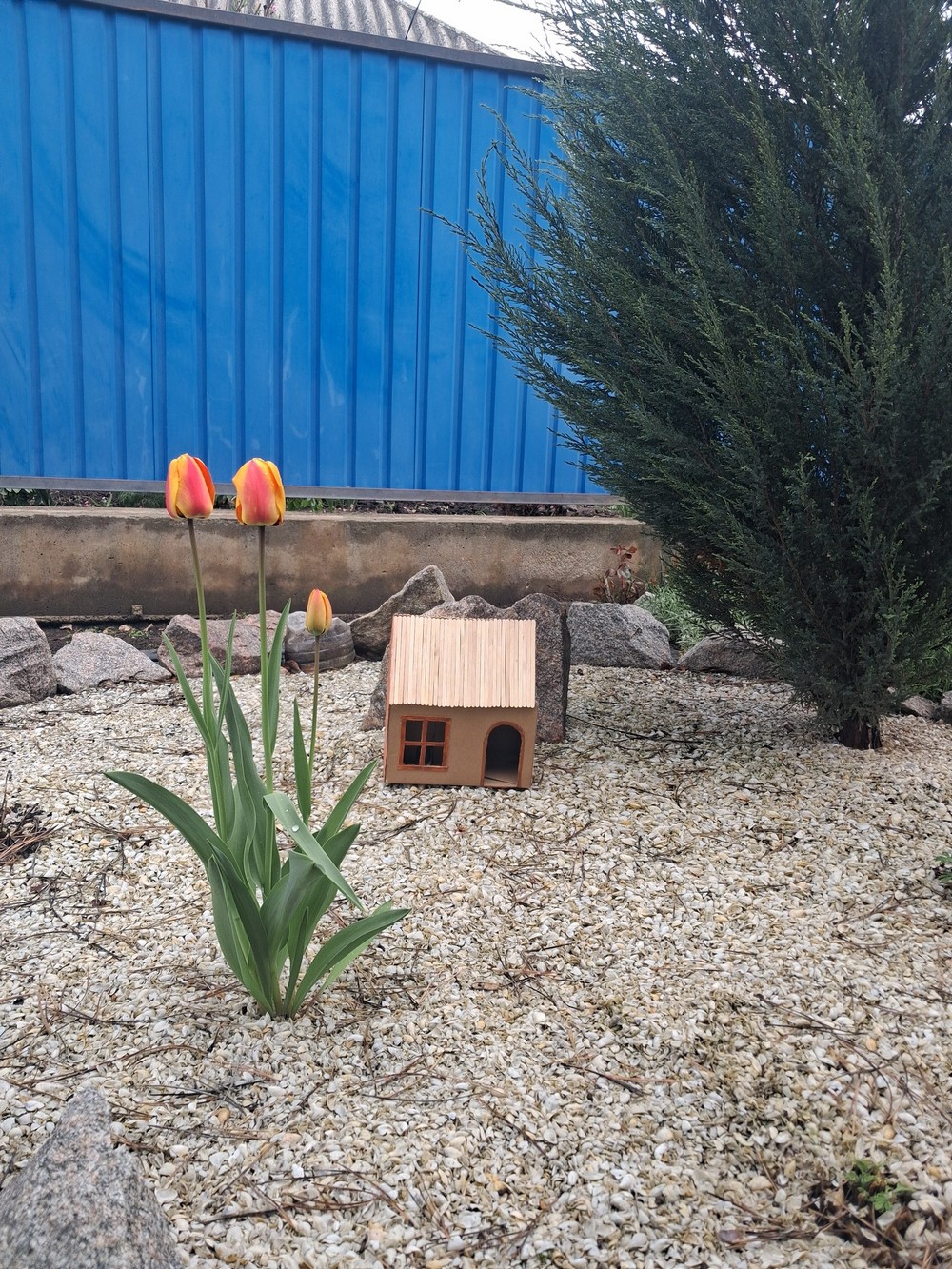 Денис Ващук 3