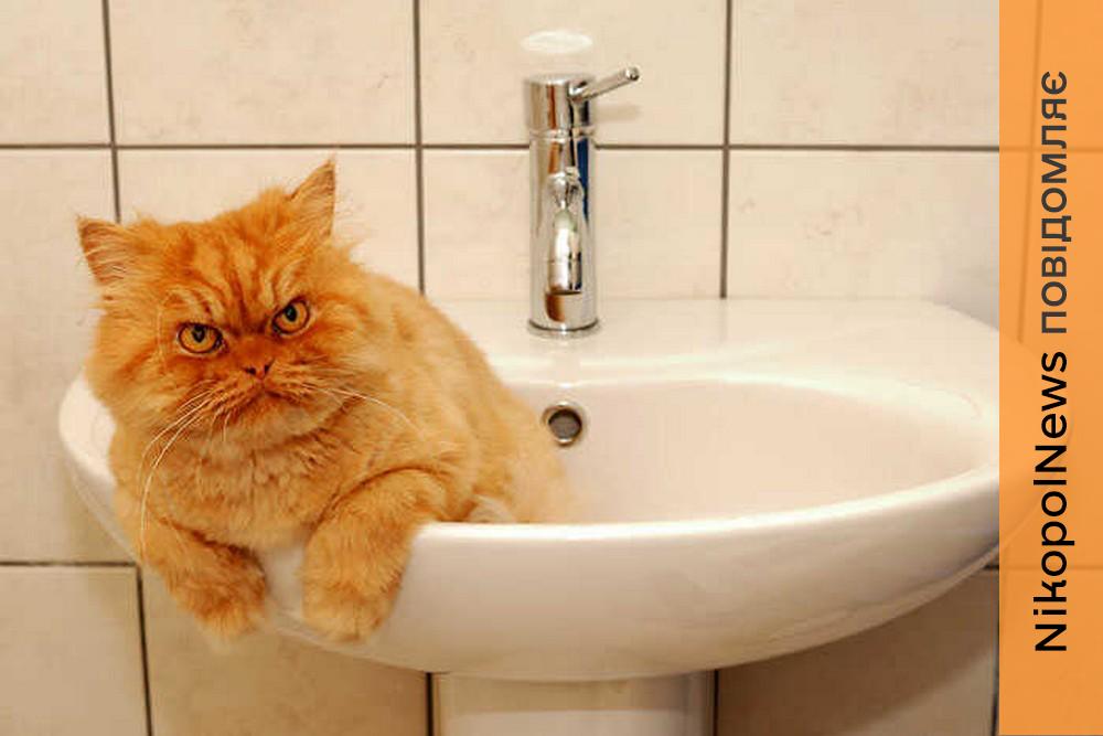 Аварія: у Нікополі 6 квітня відключили воду в одному з районів 1 Аварія: у Нікополі 6 квітня відключили воду в одному з районів