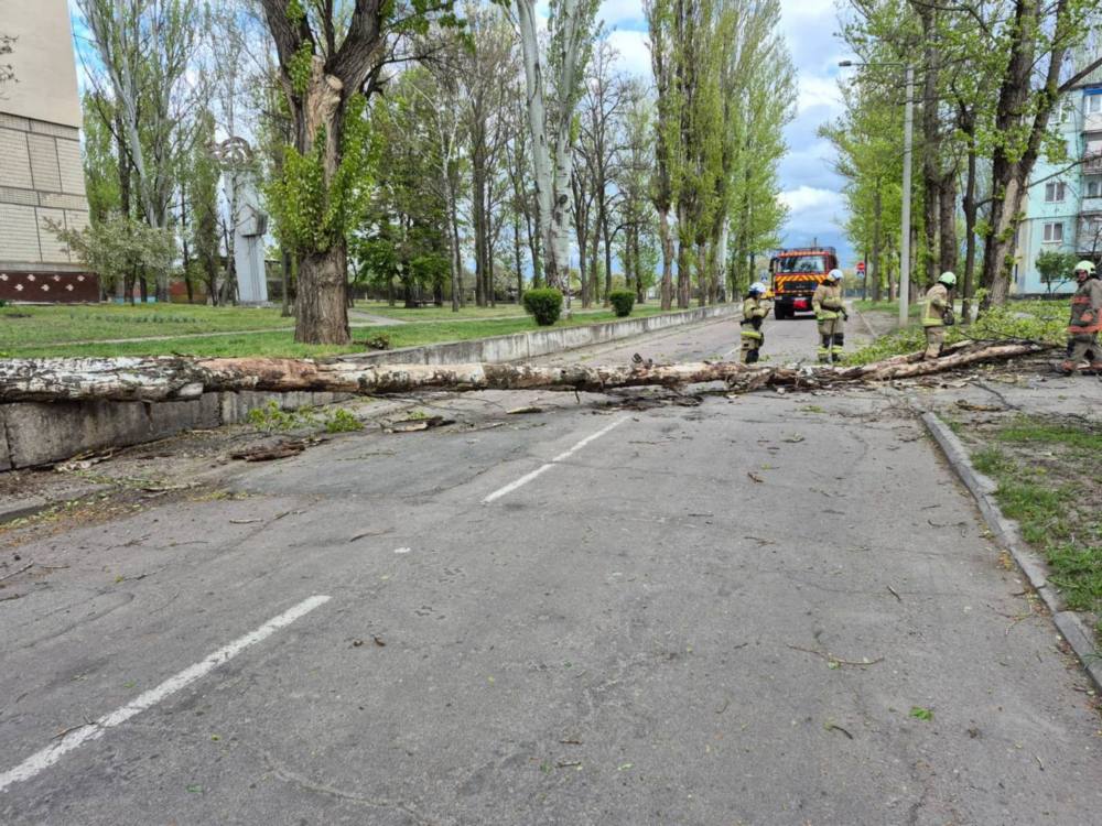 Нікопольщині