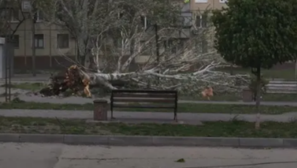 Нікопольщині 2