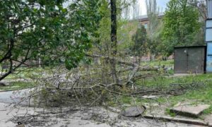 Нікопольщині 3