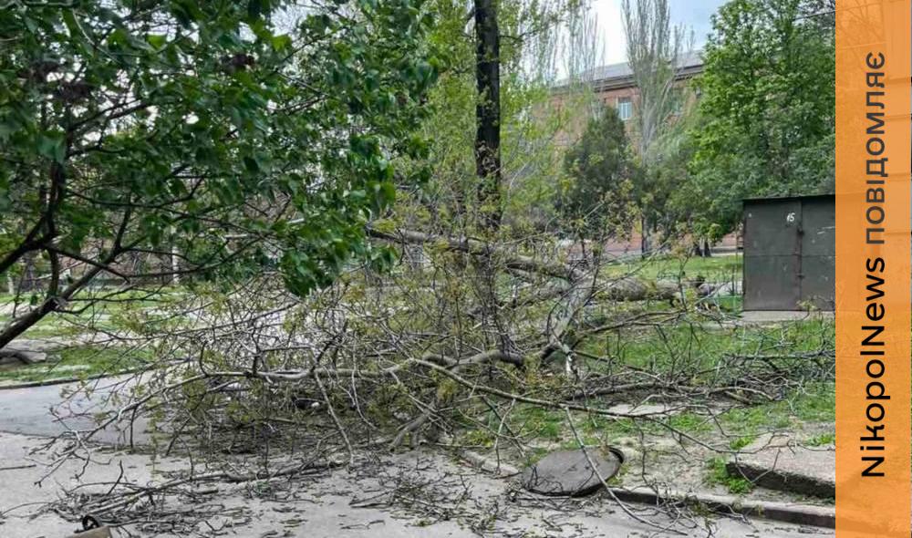 Нікопольщині 3