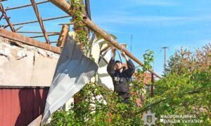 Нікопольщини