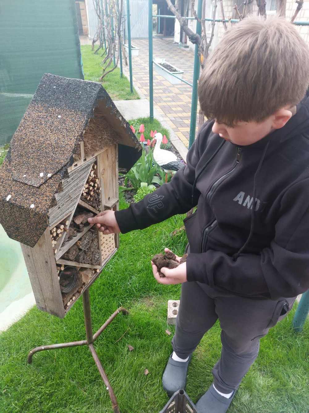 Олександр Махно