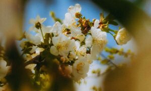 Погода у Нікополі 2