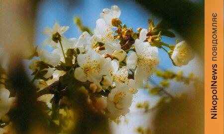 Погода у Нікополі 2