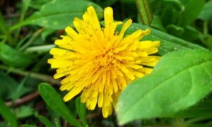 Погода у Нікополі 2