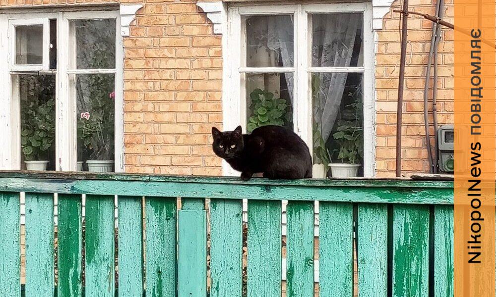 Погода у Нікополі 3