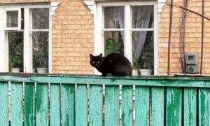 Погода у Нікополі 3