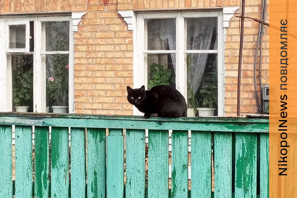 Погода у Нікополі 3