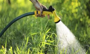 Поливний сезон у Покрові 2