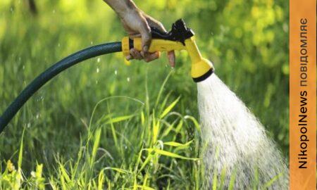 Поливний сезон у Покрові 2