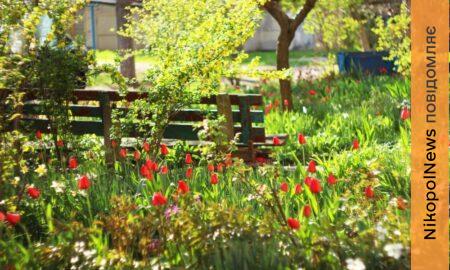 У Нікополі 2