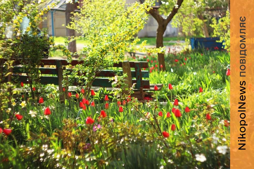 У Нікополі 2