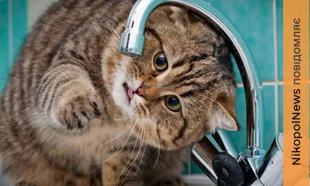 Аварія: у Нікополі 3 квітня відключили воду в одному з районів