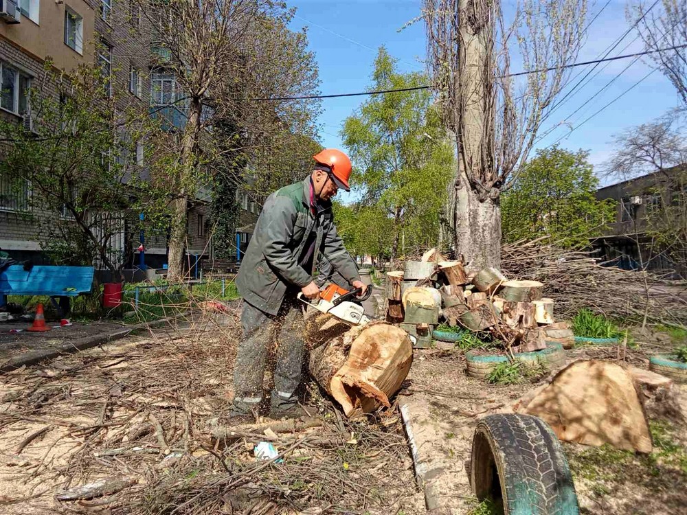 дерева дерева