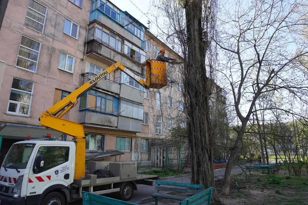 древа древа