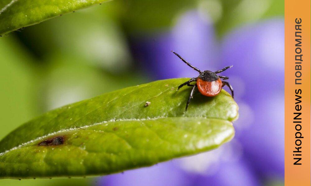 епідеміологічна ситуація на Дніпропетровщині