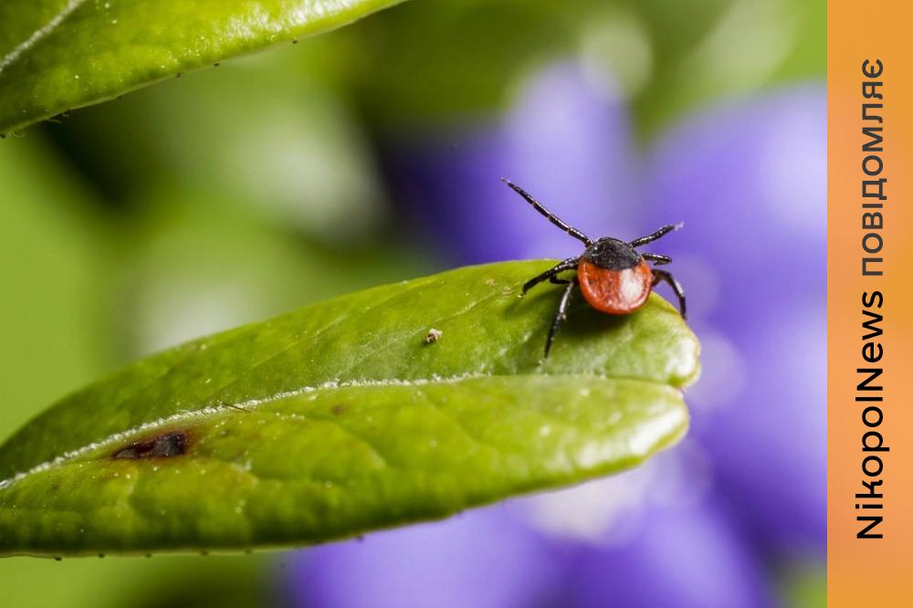епідеміологічна ситуація на Дніпропетровщині
