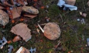 Увага! Нова мінна загроза на Нікопольщині! «Пряники» маленькі і потужні, їх складно помітити