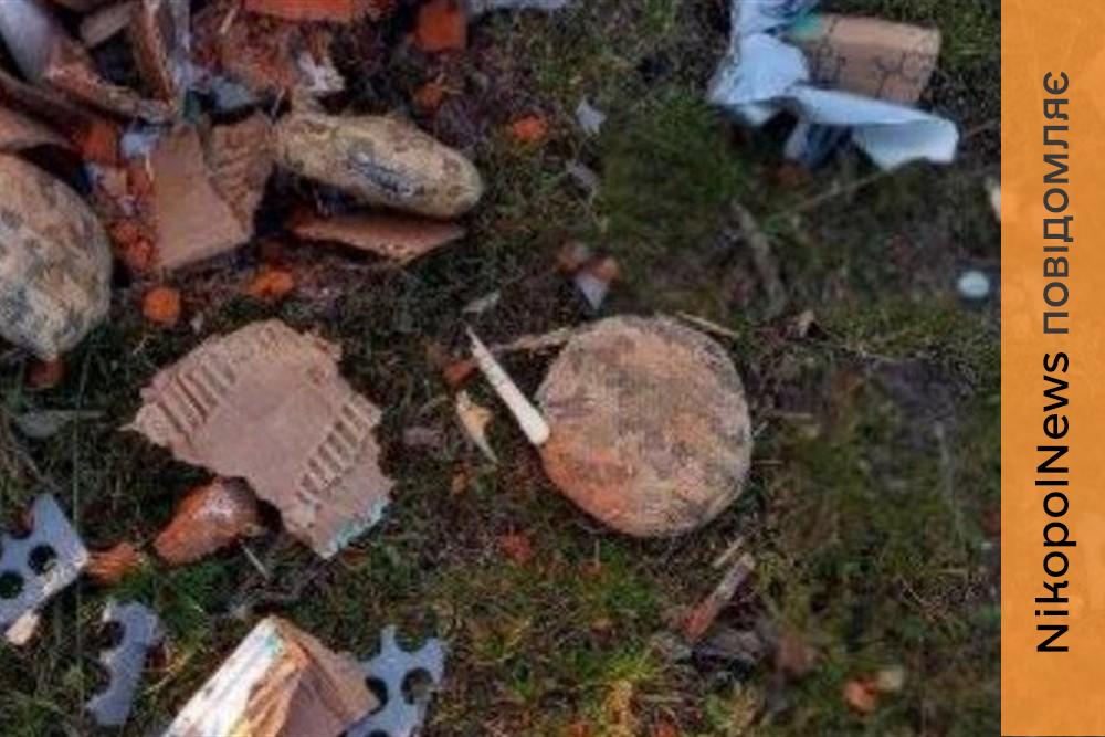 Увага! Нова мінна загроза на Нікопольщині! «Пряники» маленькі і потужні, їх складно помітити 1 Увага! Нова мінна загроза на Нікопольщині! «Пряники» маленькі і потужні, їх складно помітити