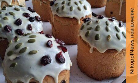 на Нікопольщині 2