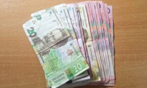 Разова грошова допомога у Червоногригорівській громаді для багатодітних родин: стартував прийом заяв