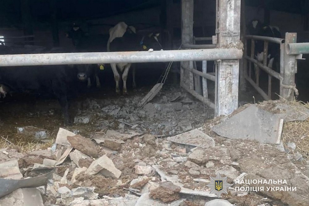 Вбито мотоцикліста, поранену дитину рятують у Дніпрі: подробиці про криваві обстріли Нікополя, району і області 3 квітня від поліції (фото)