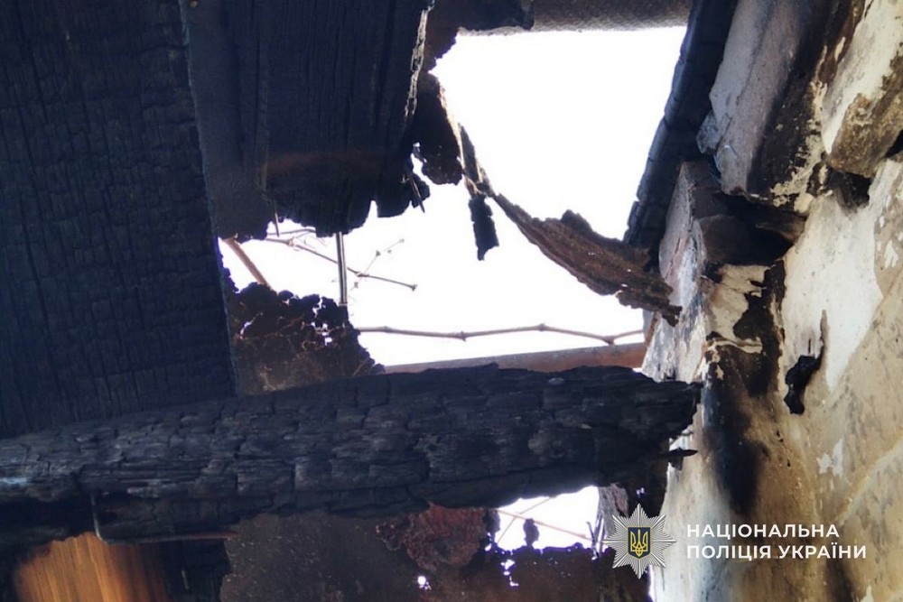 photo 2026 04 04 11 48 56 (7)