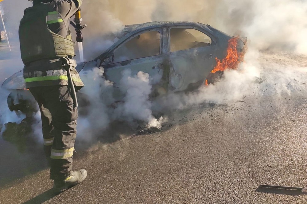 photo 2026 04 06 17 39 21 (2) photo 2026 04 06 17 39 21 (2)