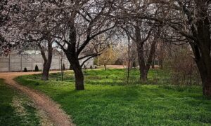 Хмарно, але без опадів: погода у Нікополі 16 квітня