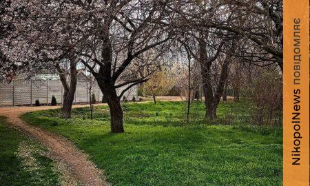 Хмарно, але без опадів: погода у Нікополі 16 квітня