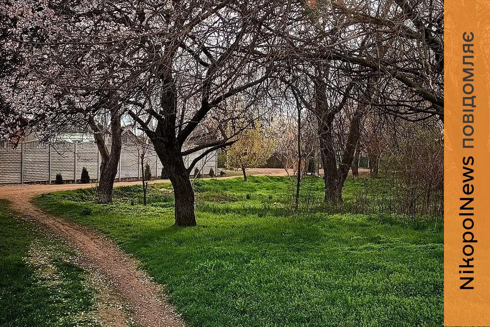 Хмарно, але без опадів, і вітряно: погода у Нікополі 16 квітня 1 Хмарно, але без опадів: погода у Нікополі 16 квітня