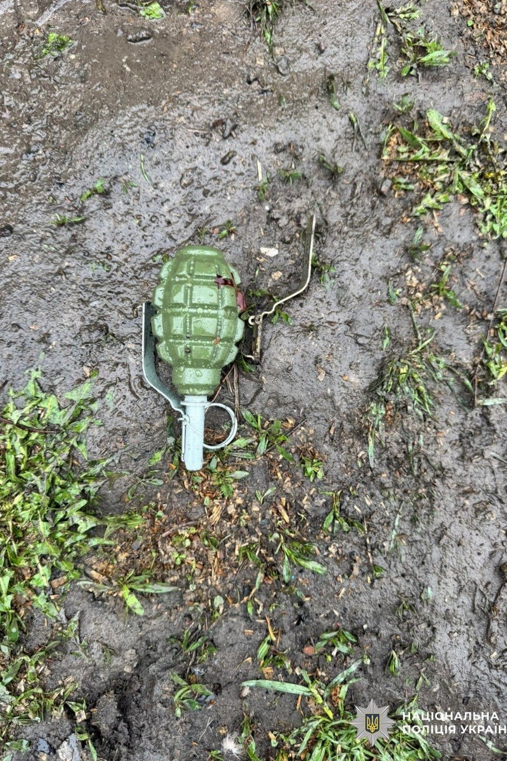 П’ятеро поліцейських поранено на Дніпропетровщині внаслідок вибуху гранати – що відомо