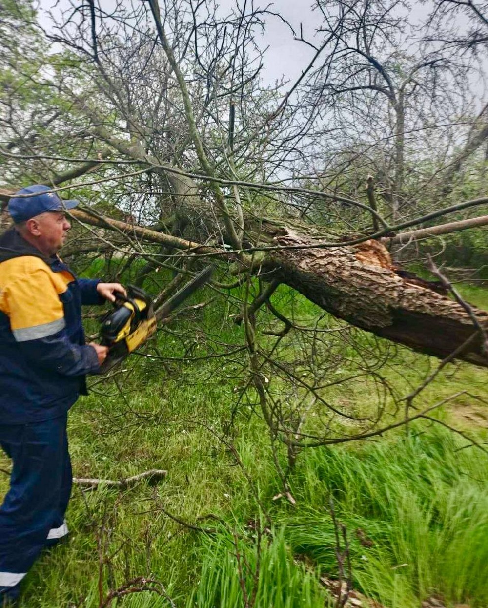 На Дніпропетровщині через шквальні пориви вітру дерева пошкодили газопроводи (фото)