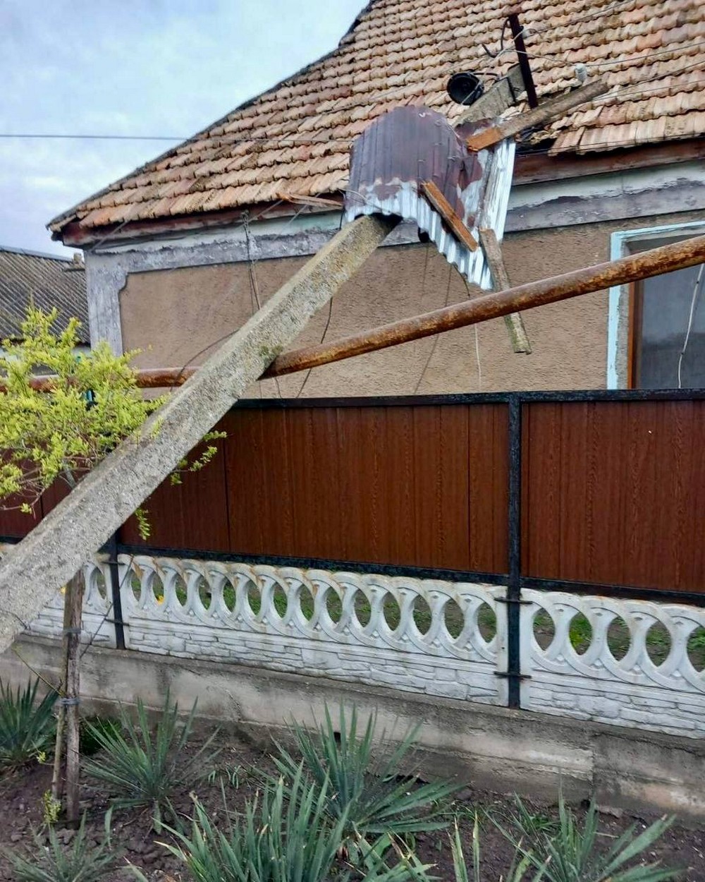 На Дніпропетровщині через шквальні пориви вітру дерева пошкодили газопроводи (фото)