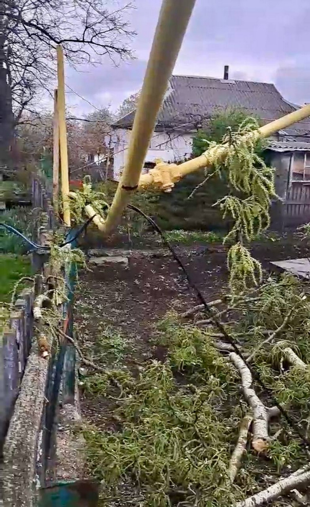 На Дніпропетровщині через шквальні пориви вітру дерева пошкодили газопроводи (фото)