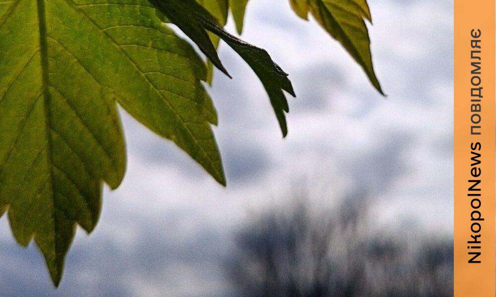 погода у Нікополі