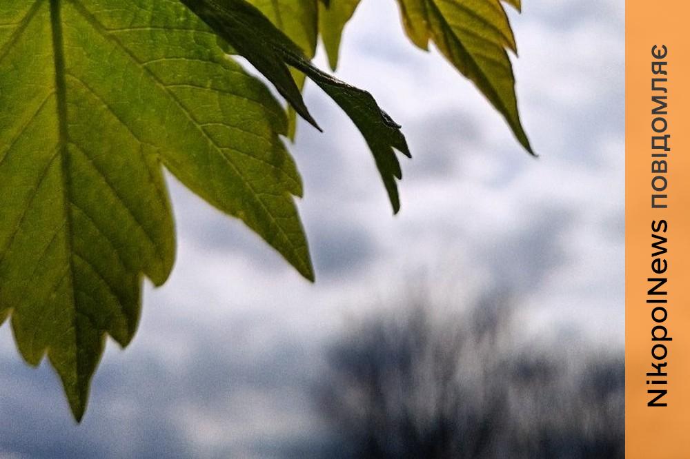 погода у Нікополі
