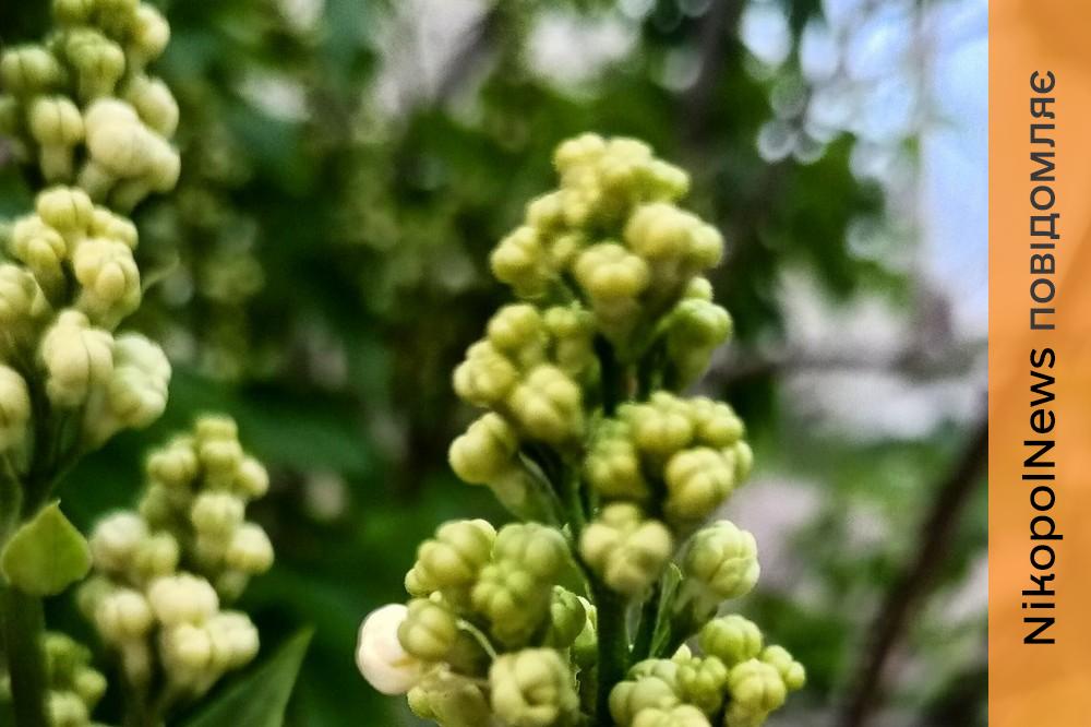 Попередили про небезпечні метеорологічні явища: якою буде погода у Нікополі 21 квітня 1 погода у Нікополі 21 квітня 2