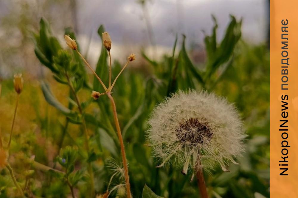 погода у Нікополі 29 квітня 2