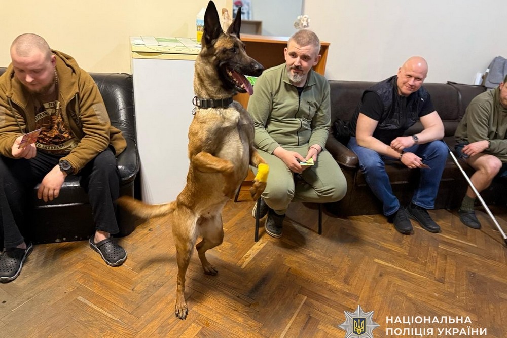 службовий пес (11)