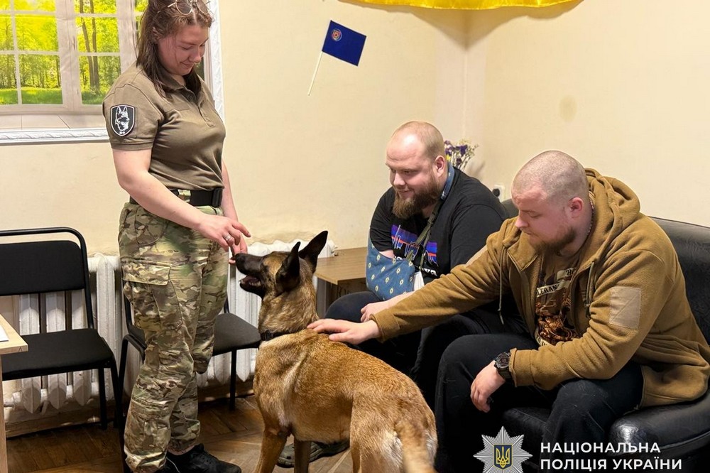 службовий пес (9)