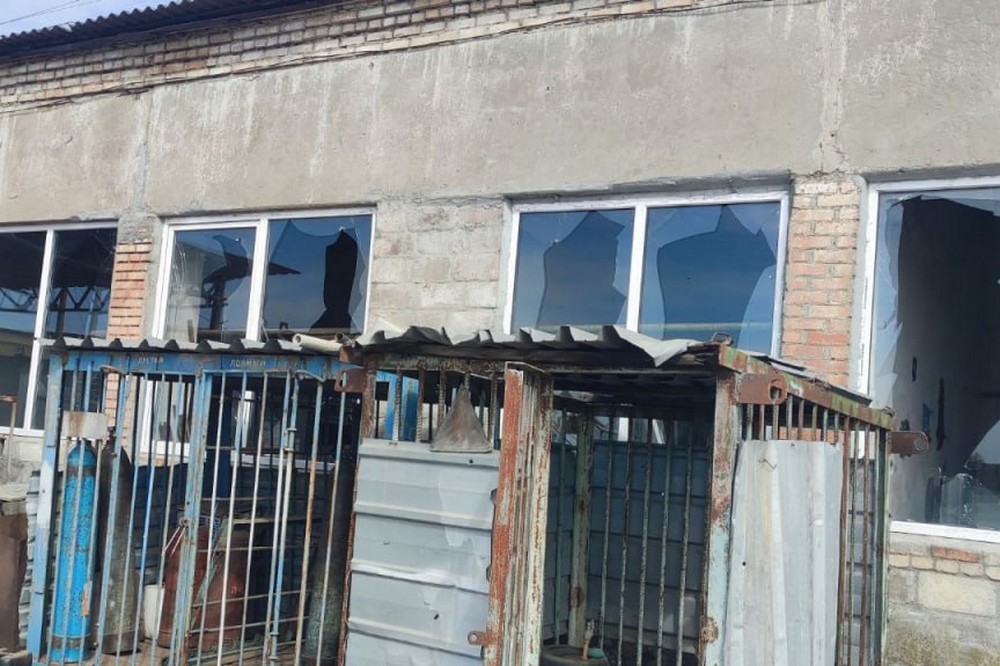 у Нікополі 5 у Нікополі 5