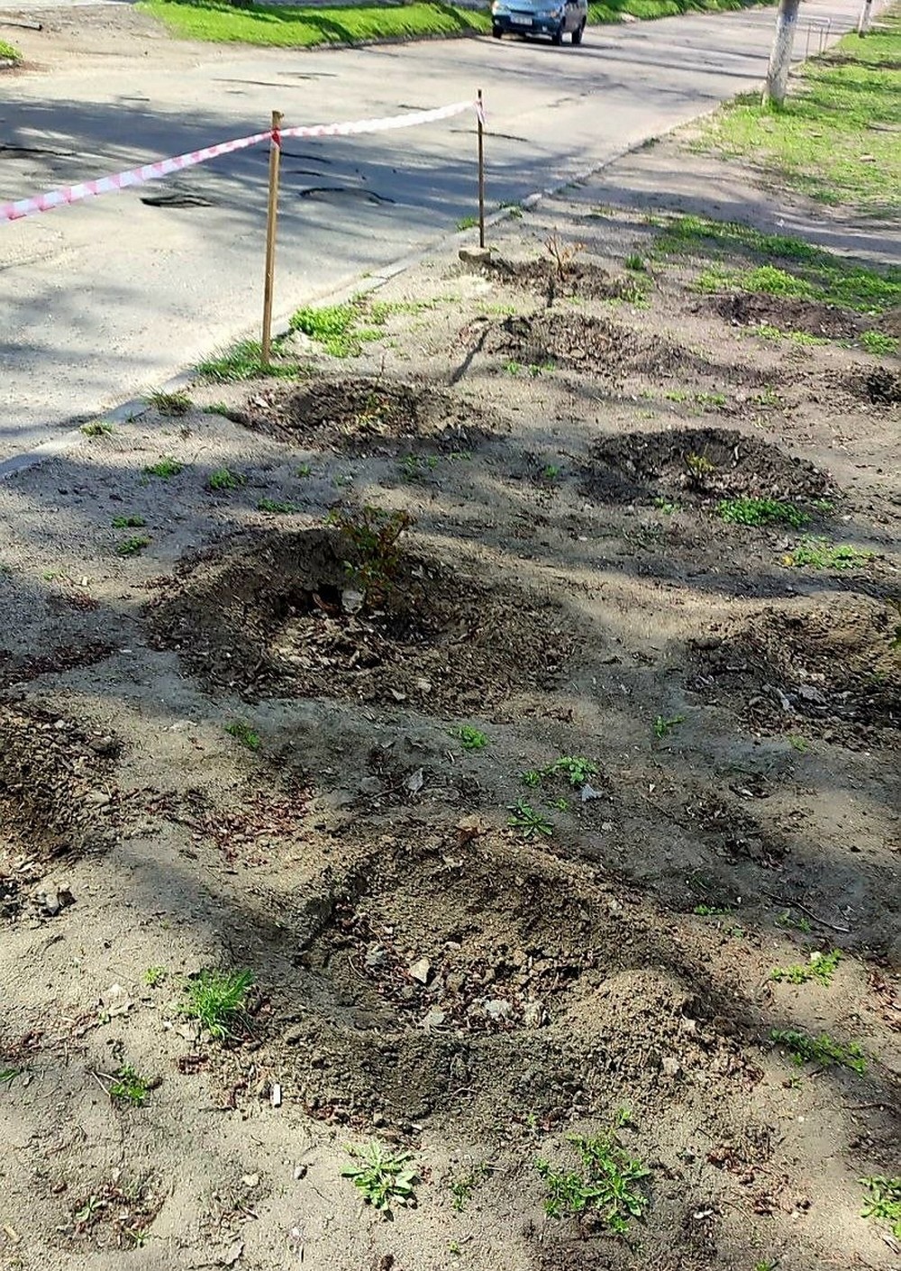 у марганці (1)