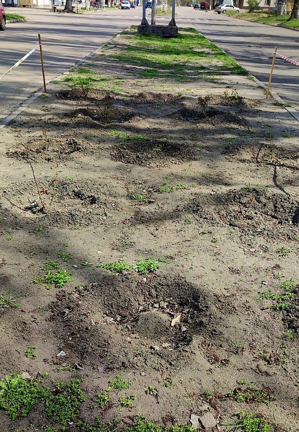 у марганці (2)