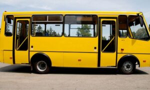 у нікополі 2