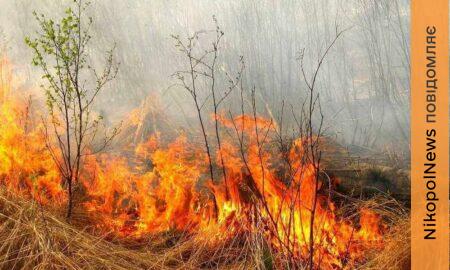 жителів Нікопольщини закликали не спалювати суху траву 2